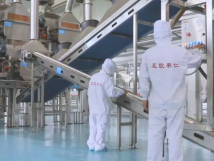 2025年的第一個月，承德亞歐果仁有限公司在山杏產業(yè)的道路上持續(xù)奮進，展現(xiàn)出蓬勃的發(fā)展活力。